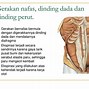 Ekspansi Paru Simetris Adalah Dalam